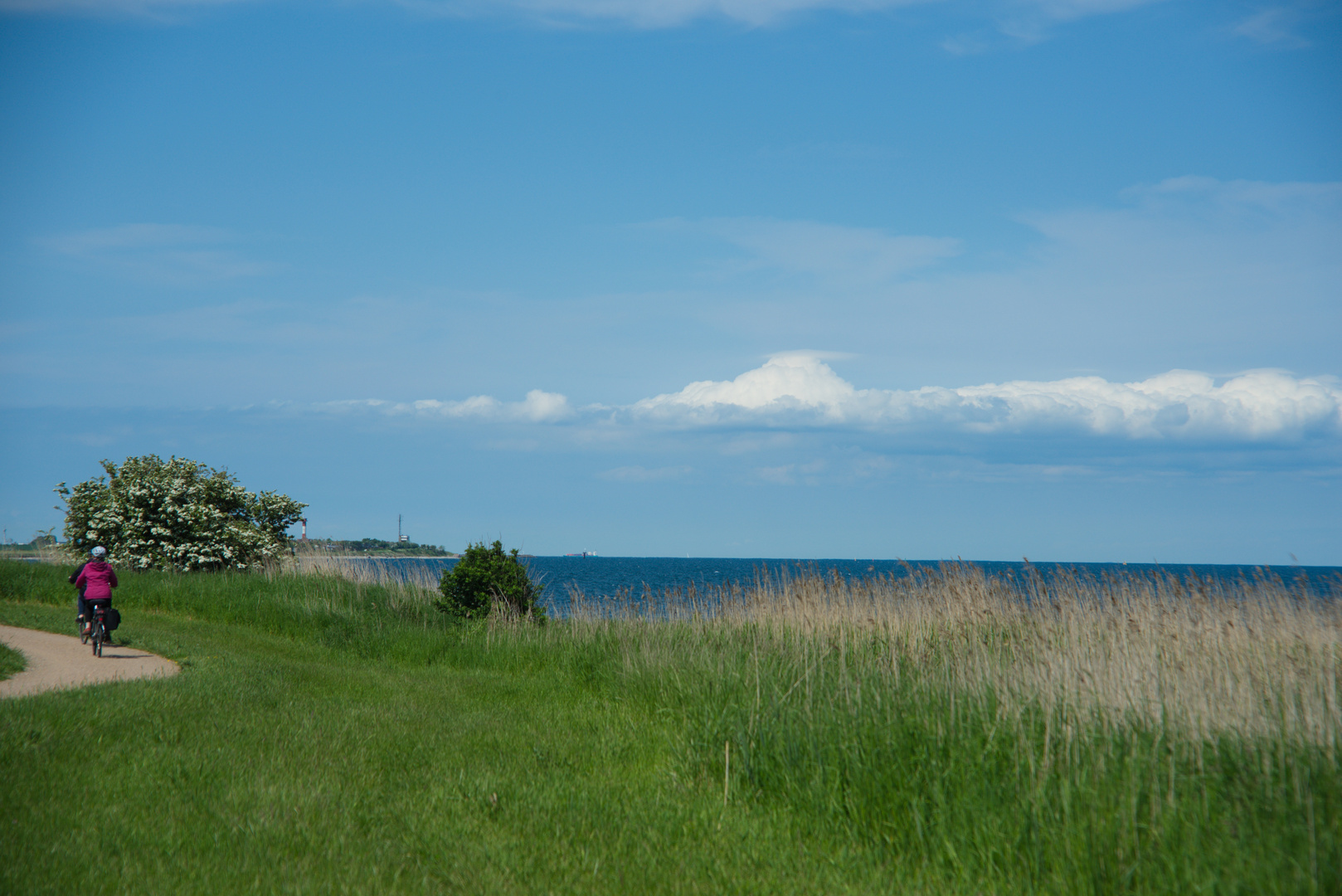 Fehmarn - an der Küste