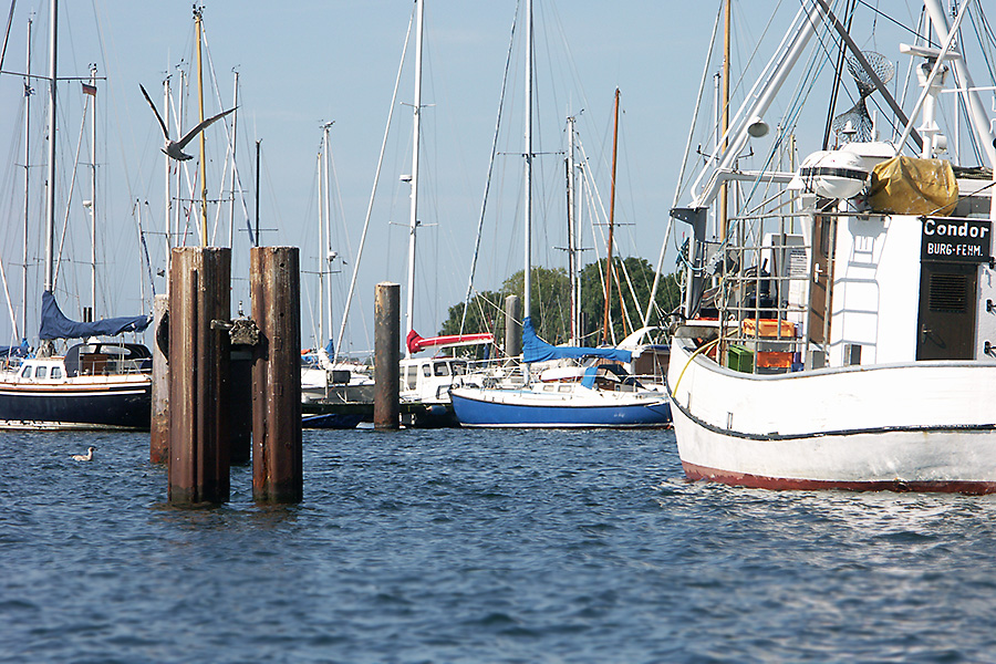 Fehmarn Burg Hafen