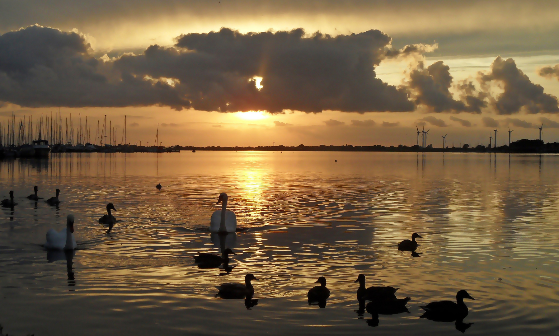 Fehmarn Burger Binnensee