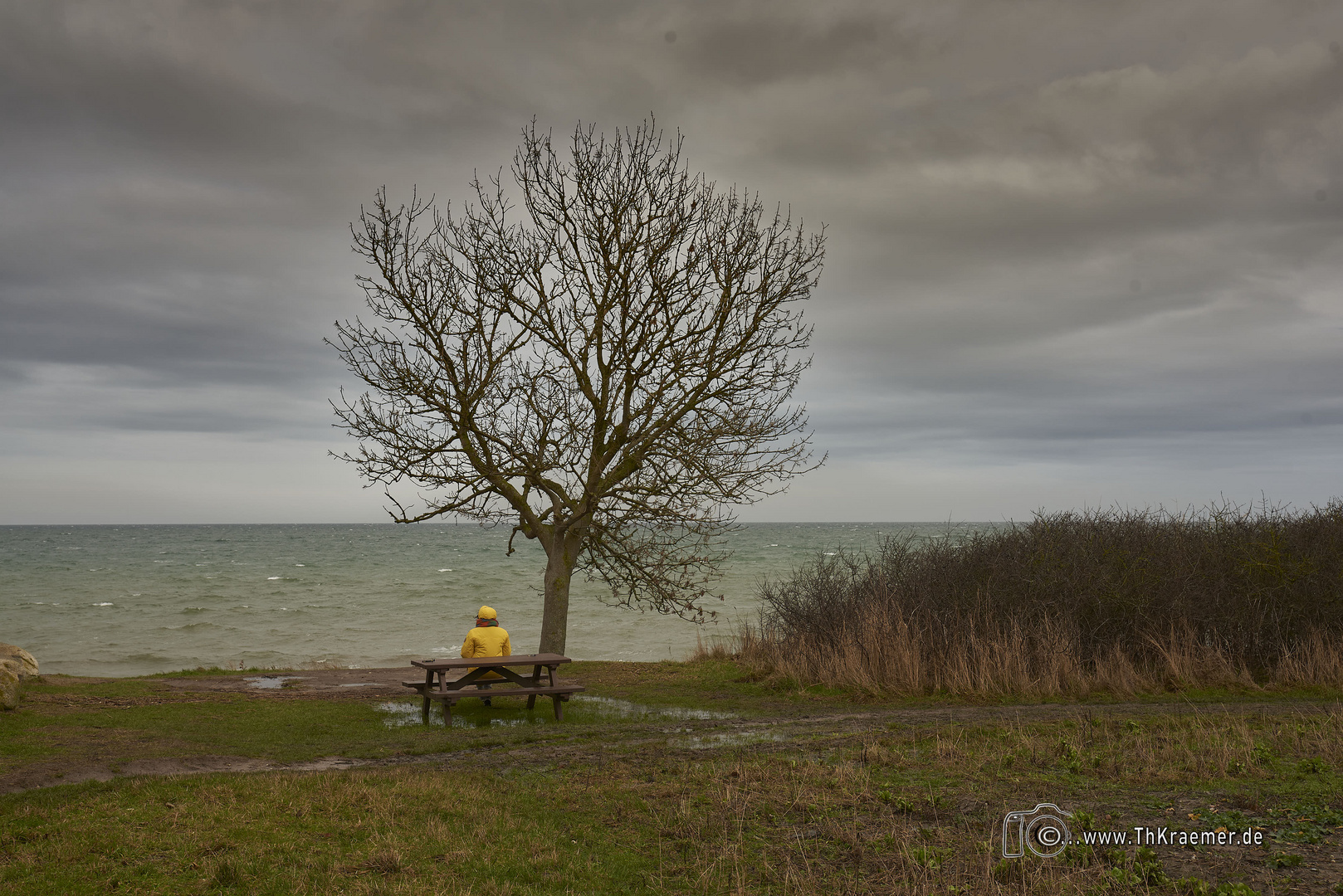 Fehmarn C1_D75_3451 1