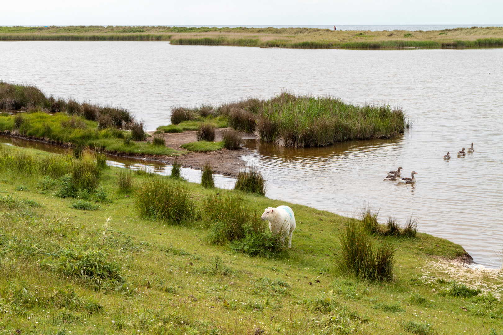 Fehmarn