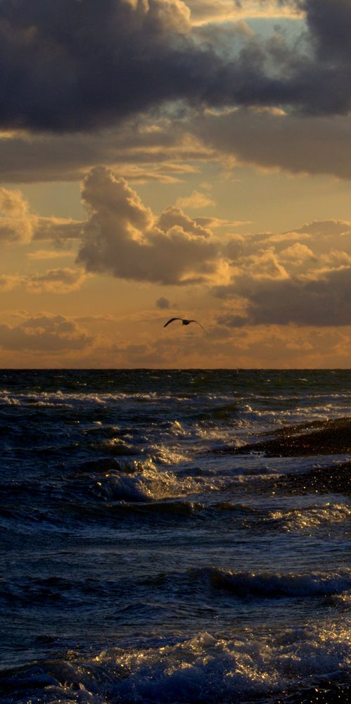 Fehmarn- Flügger Strand