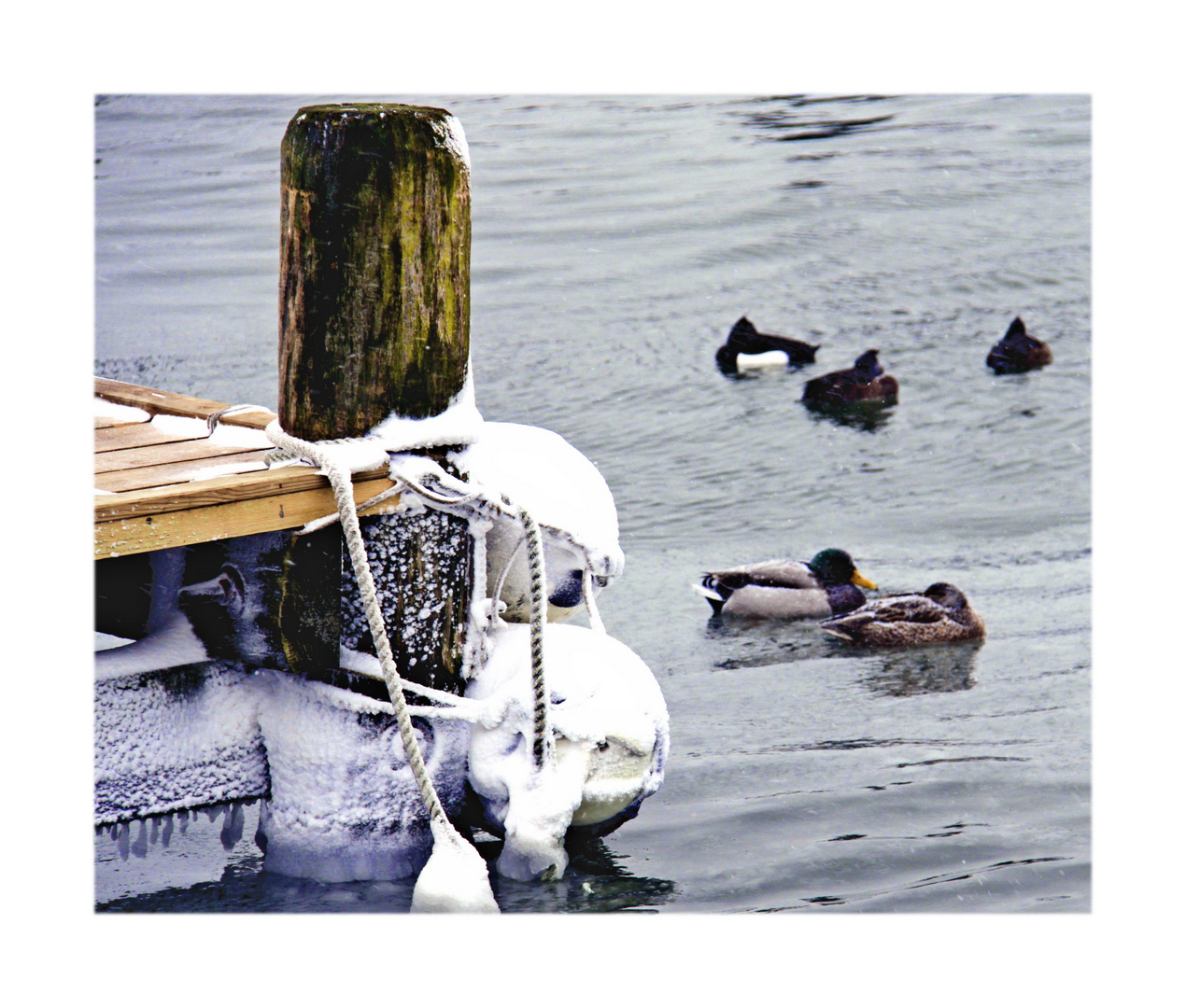 Fehmarn Hafen Orth im Winter