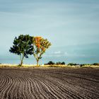 Fehmarn - Herbst