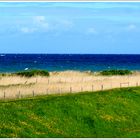 Fehmarn im Frühling...