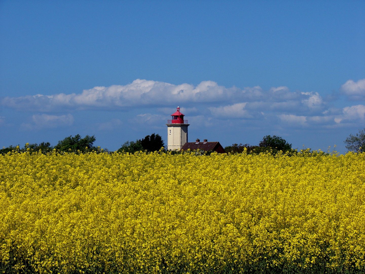 Fehmarn im Mai