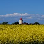 Fehmarn im Mai