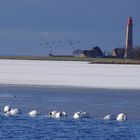 Fehmarn im Winter