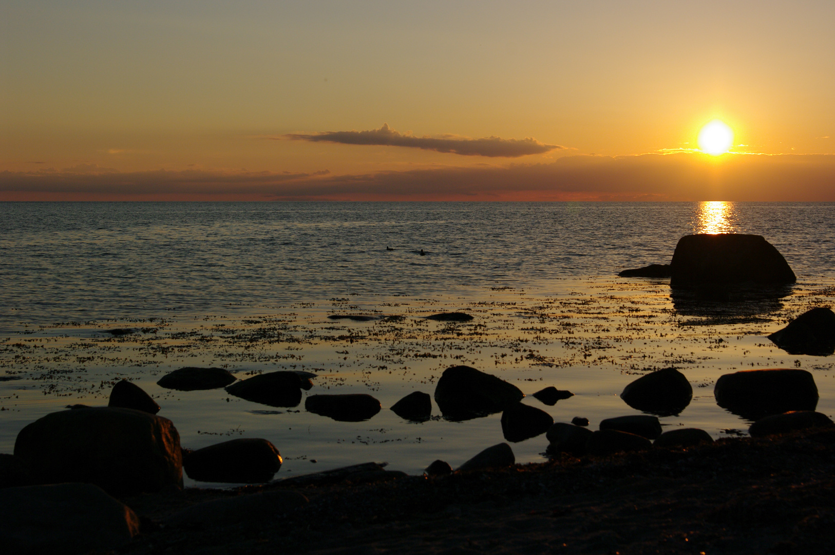 Fehmarn ist schön!