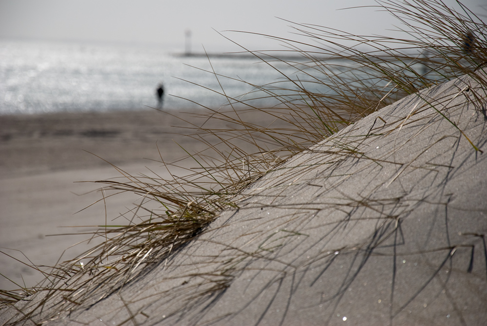 Fehmarn, März 2012