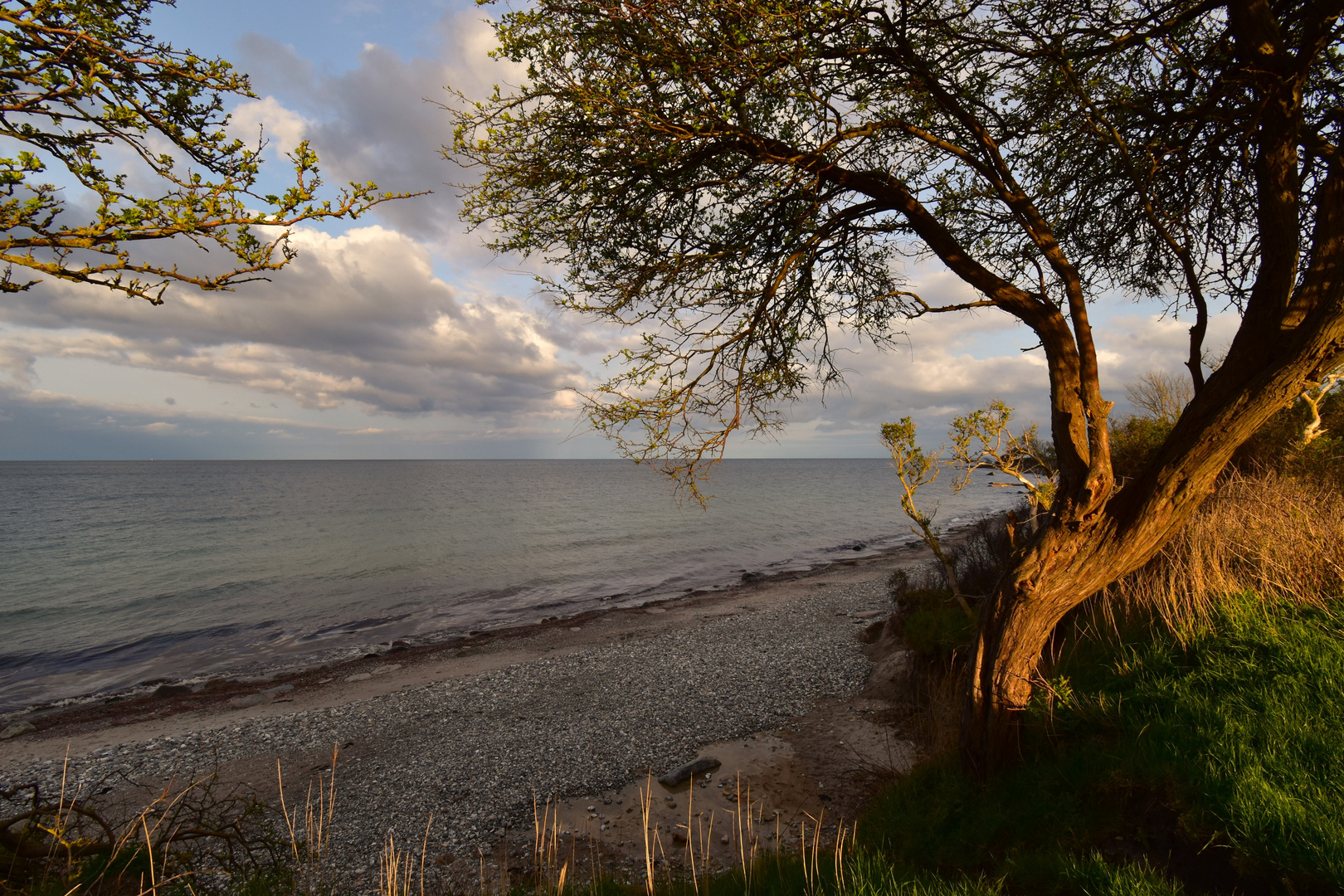 Fehmarn Naturstrand Katharinenhof