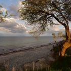 Fehmarn Naturstrand Katharinenhof