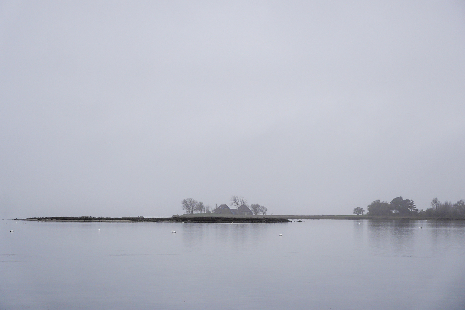 Fehmarn Novembermorgen Einsamkeit