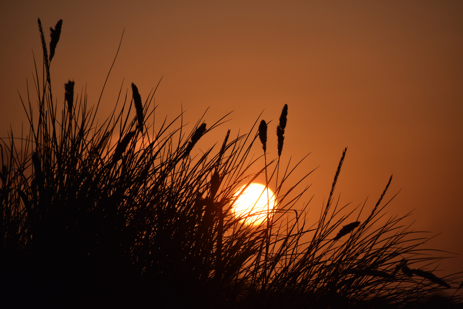 Fehmarn - Sonnenuntergang