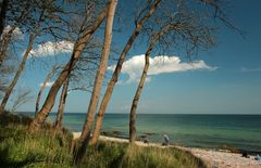 Fehmarn - Steilküste bei Katharinenhof