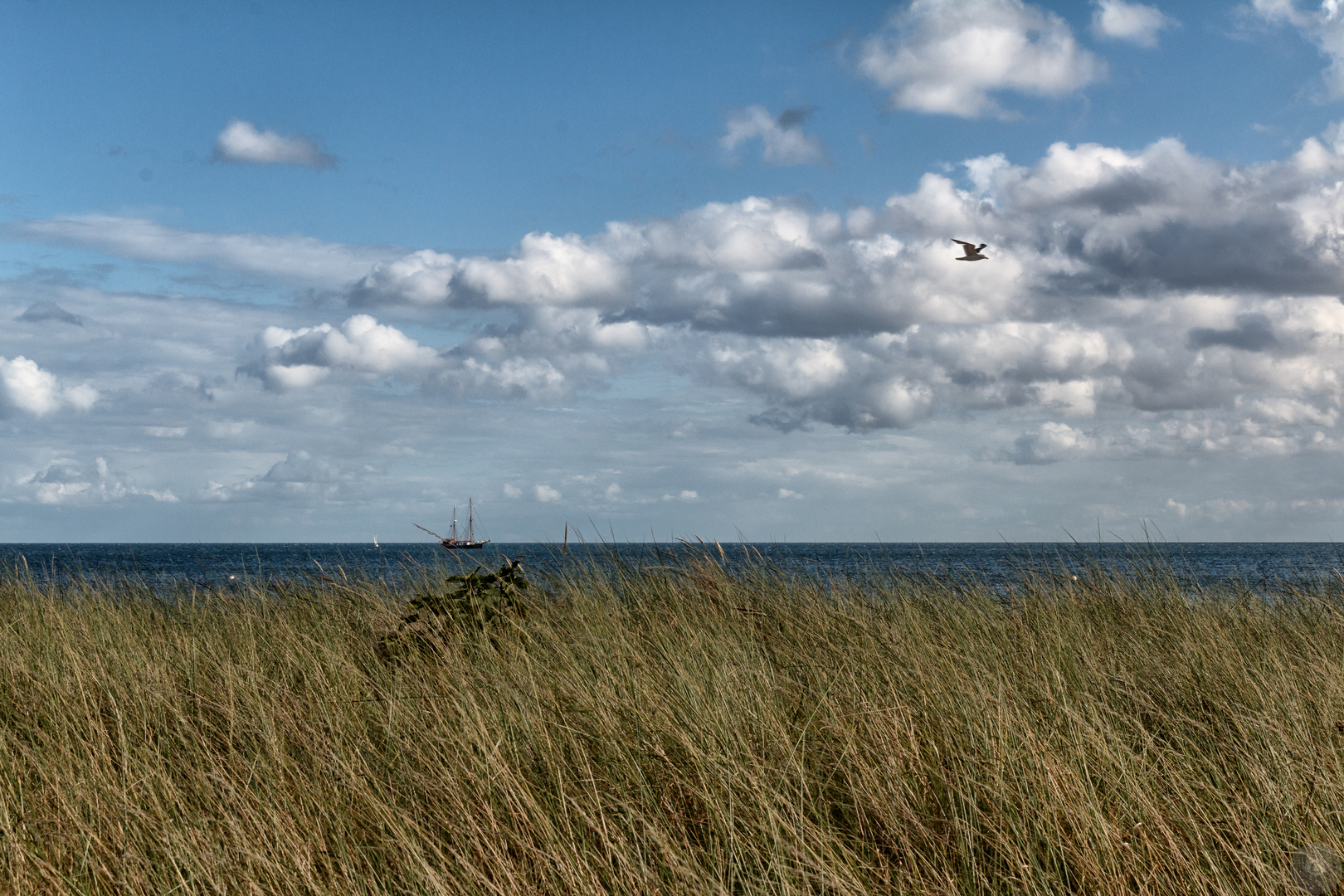 Fehmarn - Strand