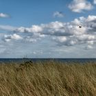 Fehmarn - Strand