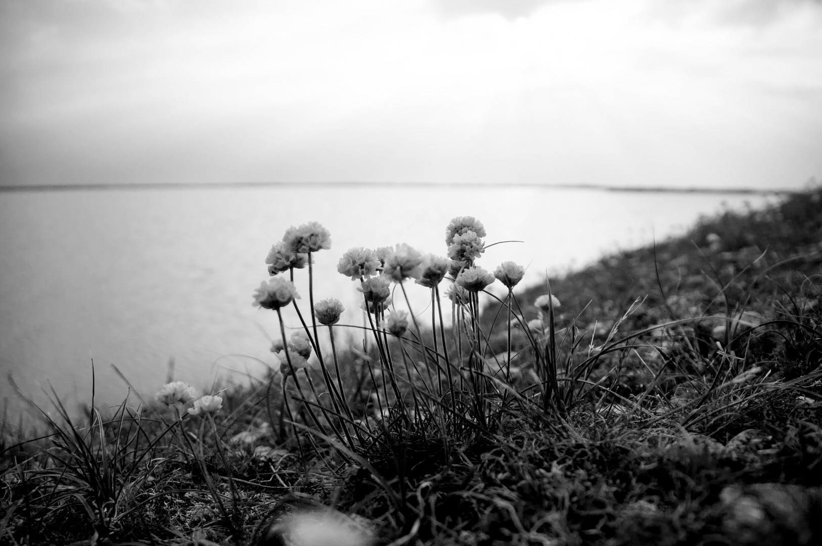 Fehmarn Strandleben....