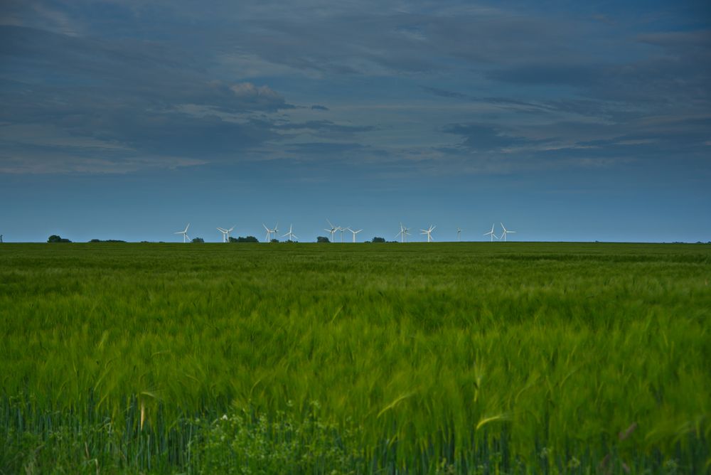 Fehmarn - Windmaschine