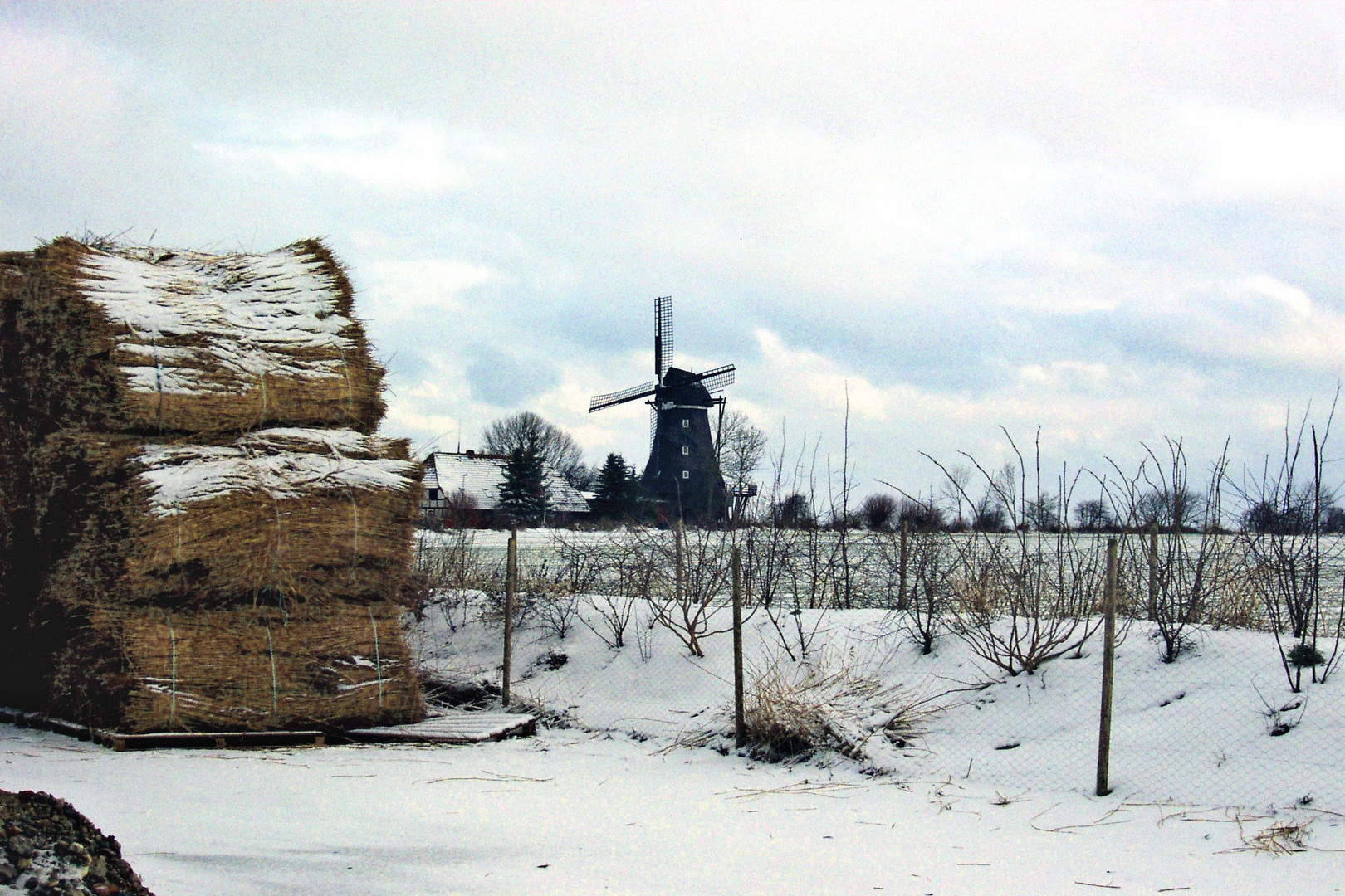 Fehmarn Wintermühle Mühlenmuseum