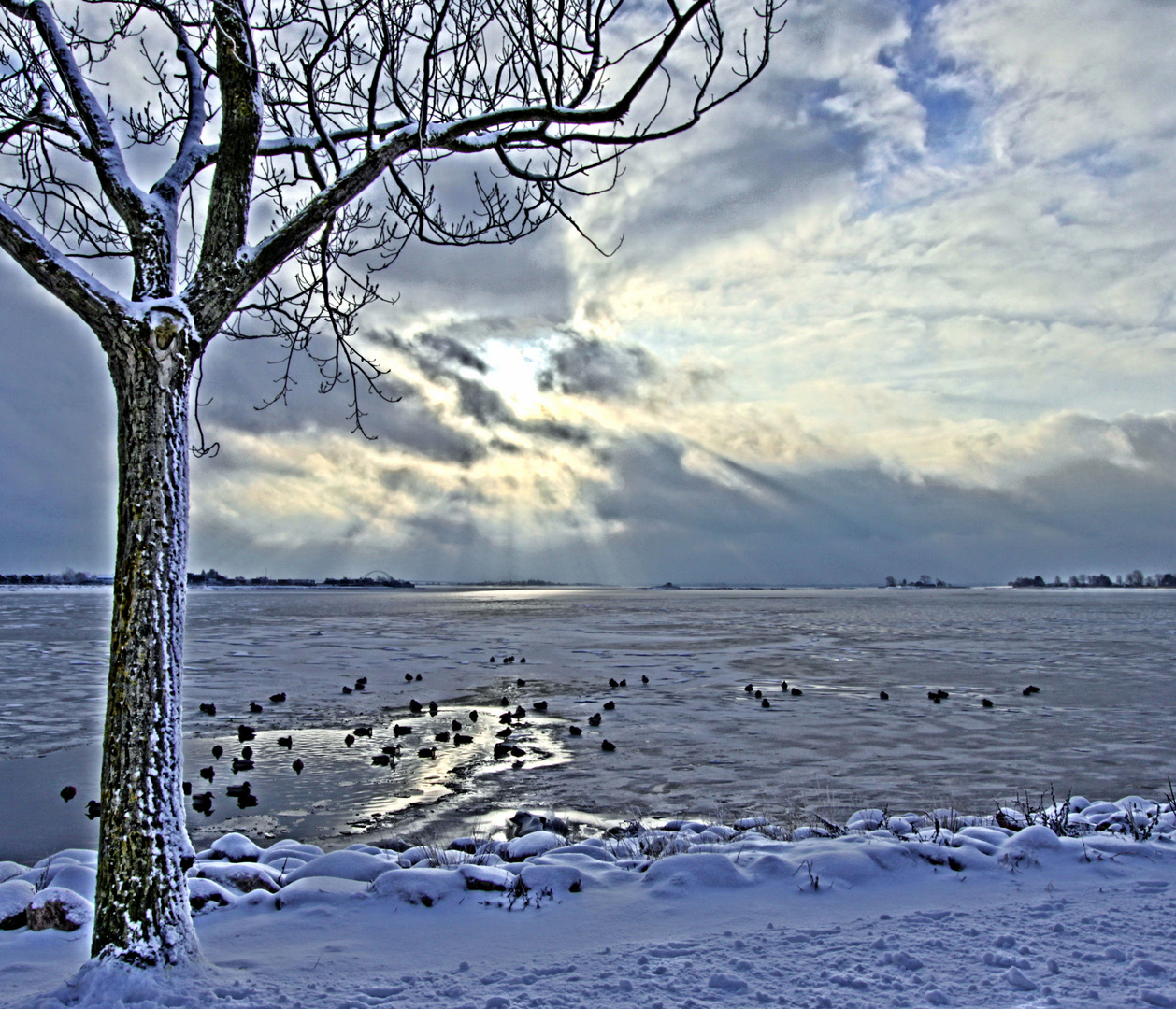 Fehmarn Winterstrand 8