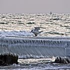 Fehmarn Winterstrand 9