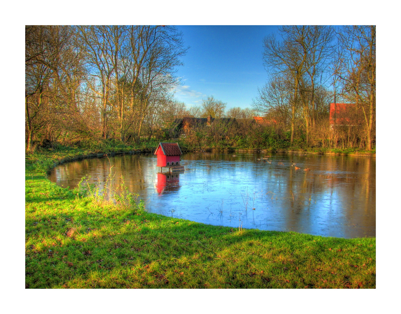 Fehmarn-Winterteich