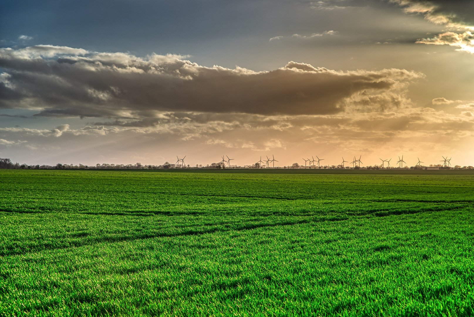 Fehmarn zur goldenen Stunde