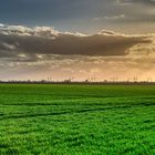 Fehmarn zur goldenen Stunde