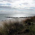 FehMarn05