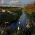 Fehmarn,einfach schön