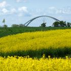 Fehmarnsundbrücke mit Rapsblüte