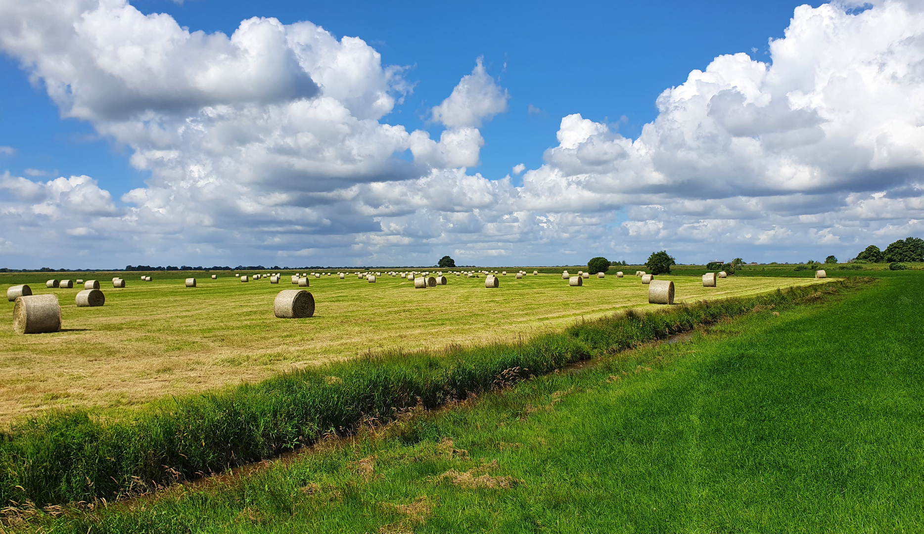 Fehn-Landschaft