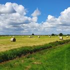 Fehn-Landschaft