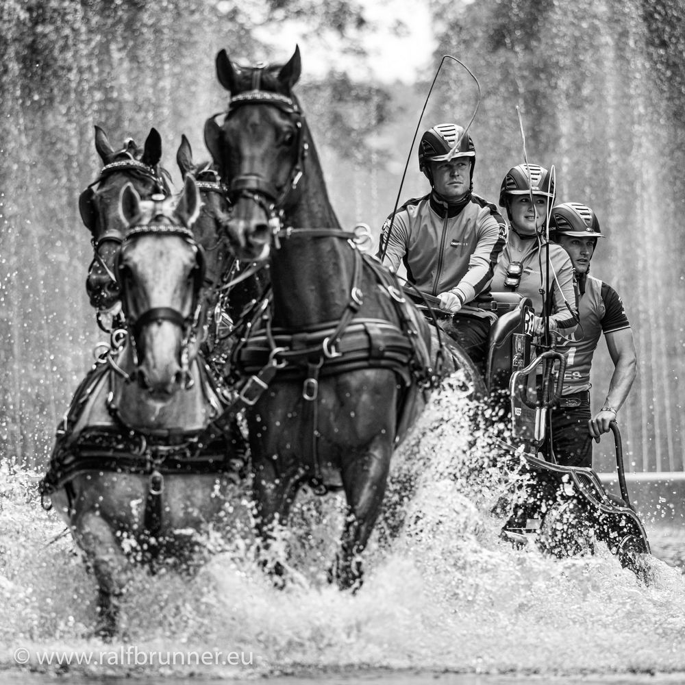 FEI Europameisterschaften der Vierspänner Grosspferde 2019 in Donaueschingen