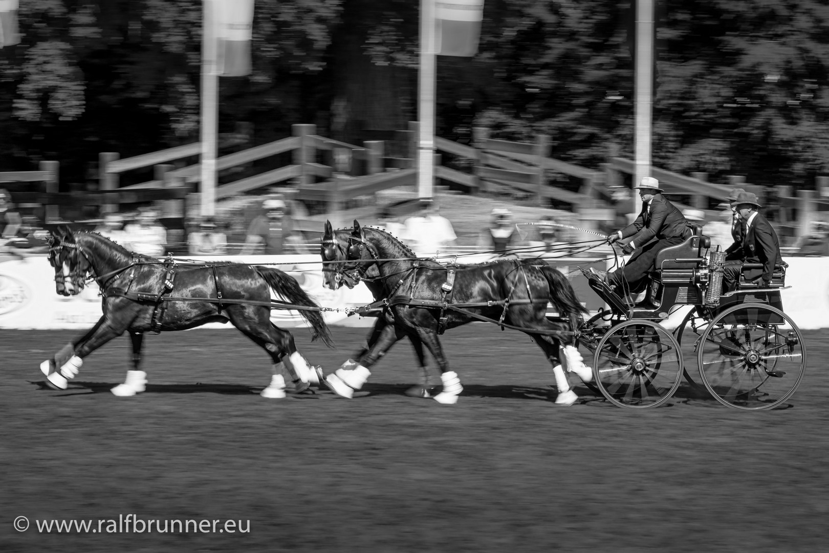 FEI Europameisterschaften der Vierspänner Grosspferde 2019 in Donaueschingen