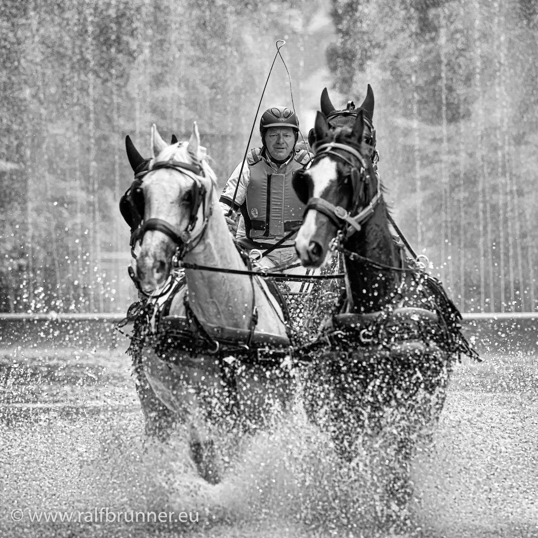 FEI Europameisterschaften der Vierspänner Grosspferde 2019 in Donaueschingen II