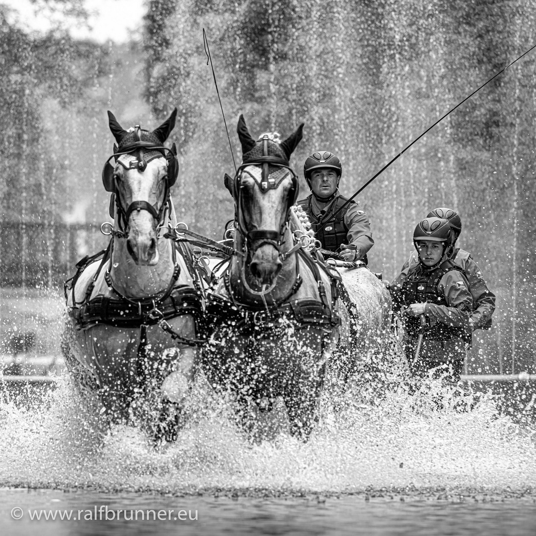 FEI Europameisterschaften der Vierspänner Grosspferde 2019 in Donaueschingen III