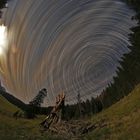 Feichtau Startrails