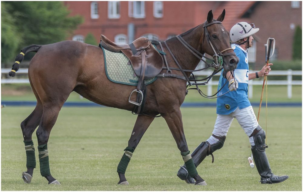 Feierabend Foto &amp; Bild | sport, world, pferde Bilder auf fotocommunity
