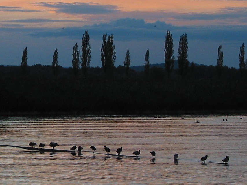 Feierabend am Bodensee