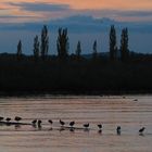 Feierabend am Bodensee