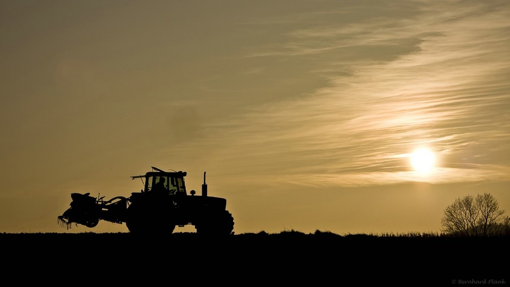 Feierabend am Feld - Der Sonne entgegen