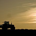 Feierabend am Feld - Der Sonne entgegen