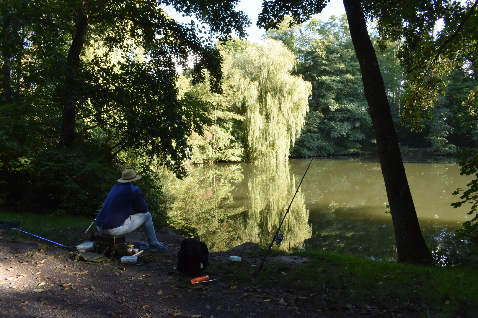 Feierabend am Waldsee