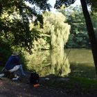 Feierabend am Waldsee