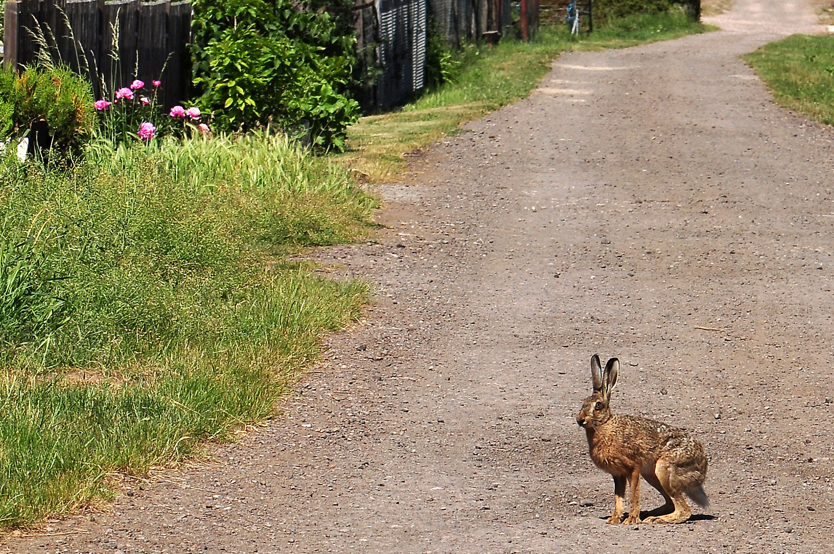 Feierabend! ... Frohe Ostern!