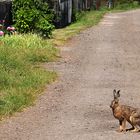 Feierabend! ... Frohe Ostern!