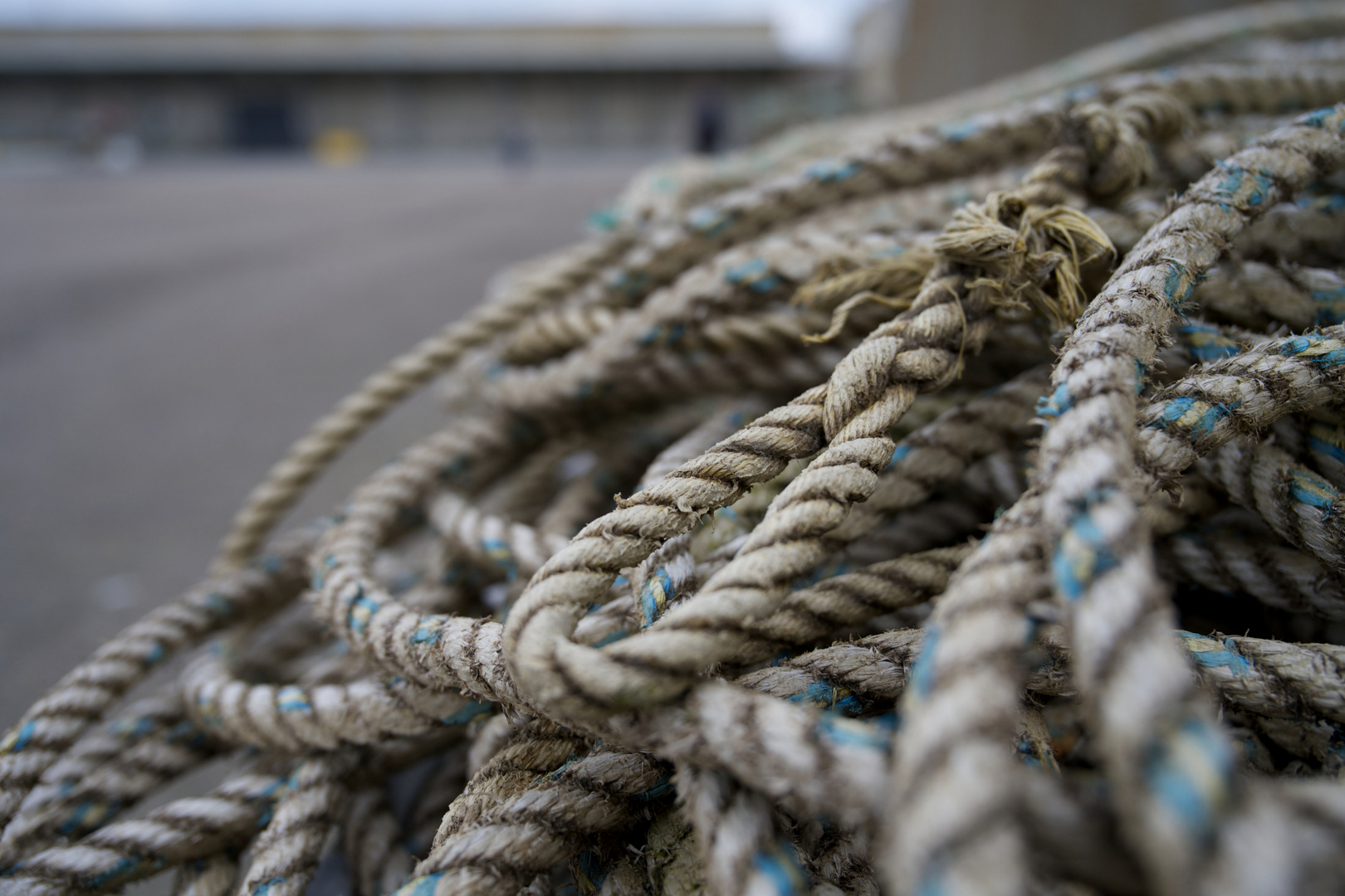 Feierabend im Hafen