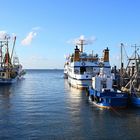 Feierabend im kleinen Hafen von Strucklahnungshörn